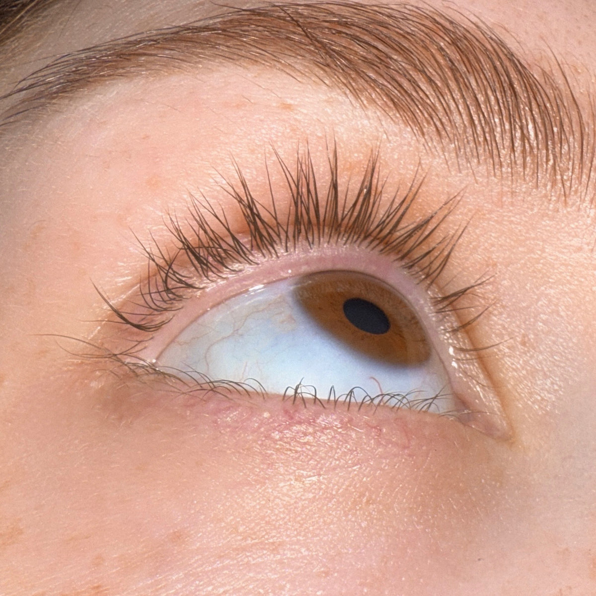 Maddi Morris founder of Light Heart Lash amazing lash growth progress using Growth Serum
