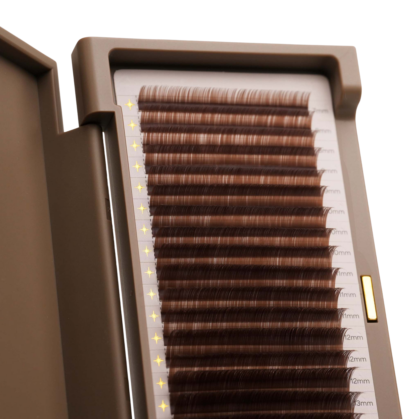 Brown Everything Lashes