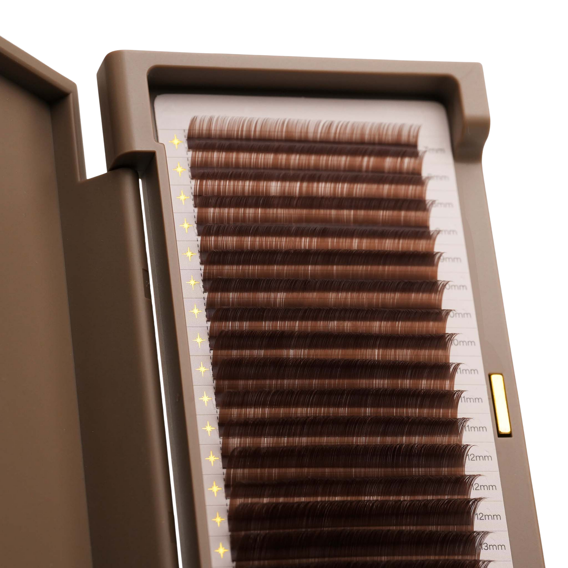 Brown Everything Lashes